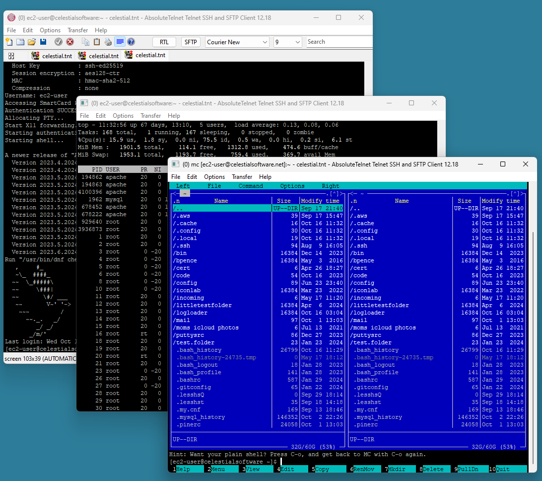 Клиент AbsoluteTelnet SSH для Windows